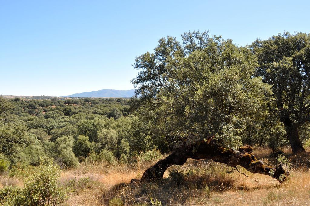 Hotel Langa Cerezo de Abajo Εξωτερικό φωτογραφία